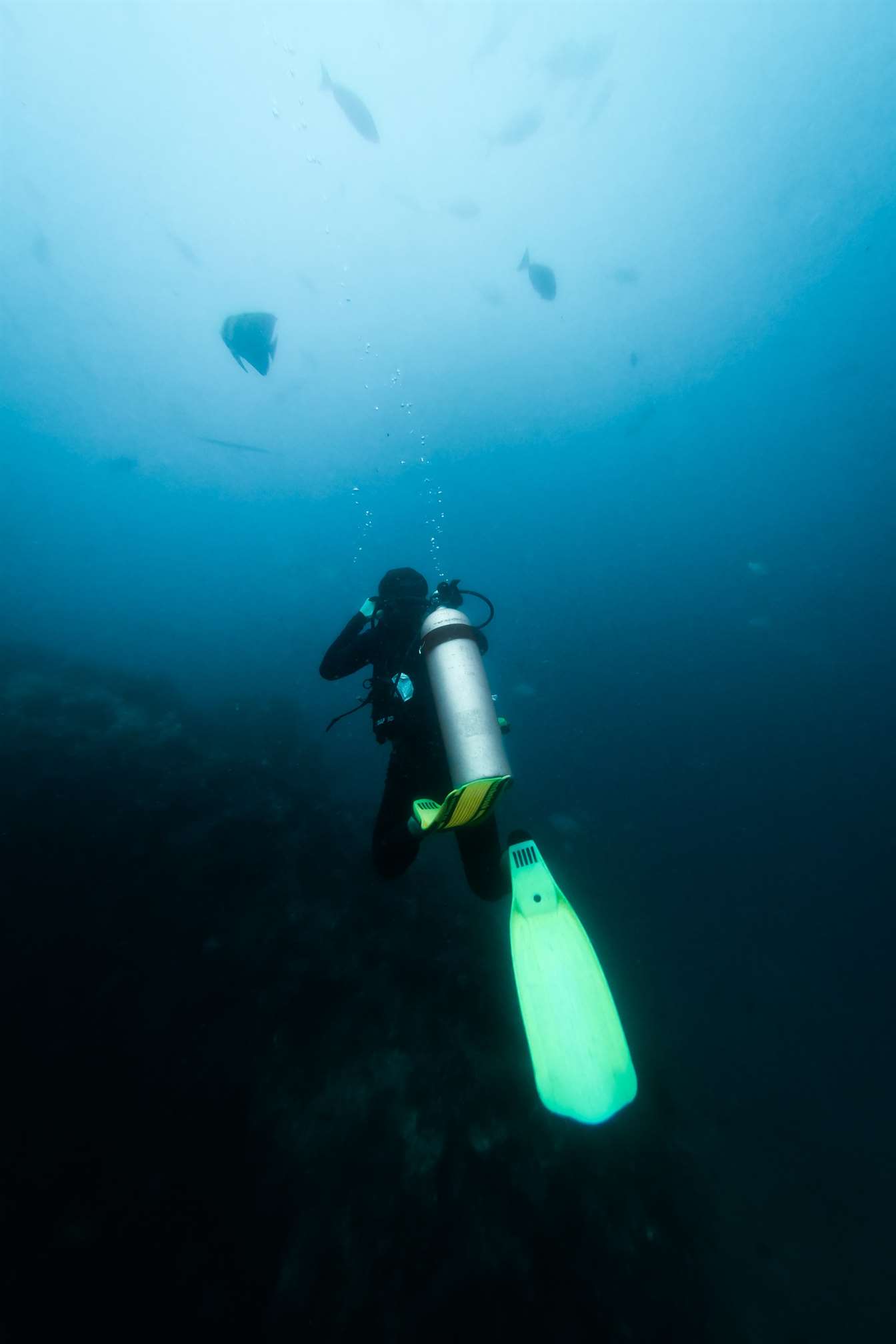 diver image