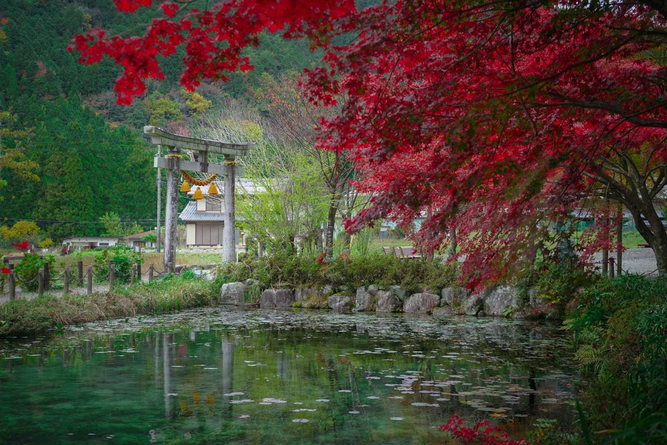 a park in japan
