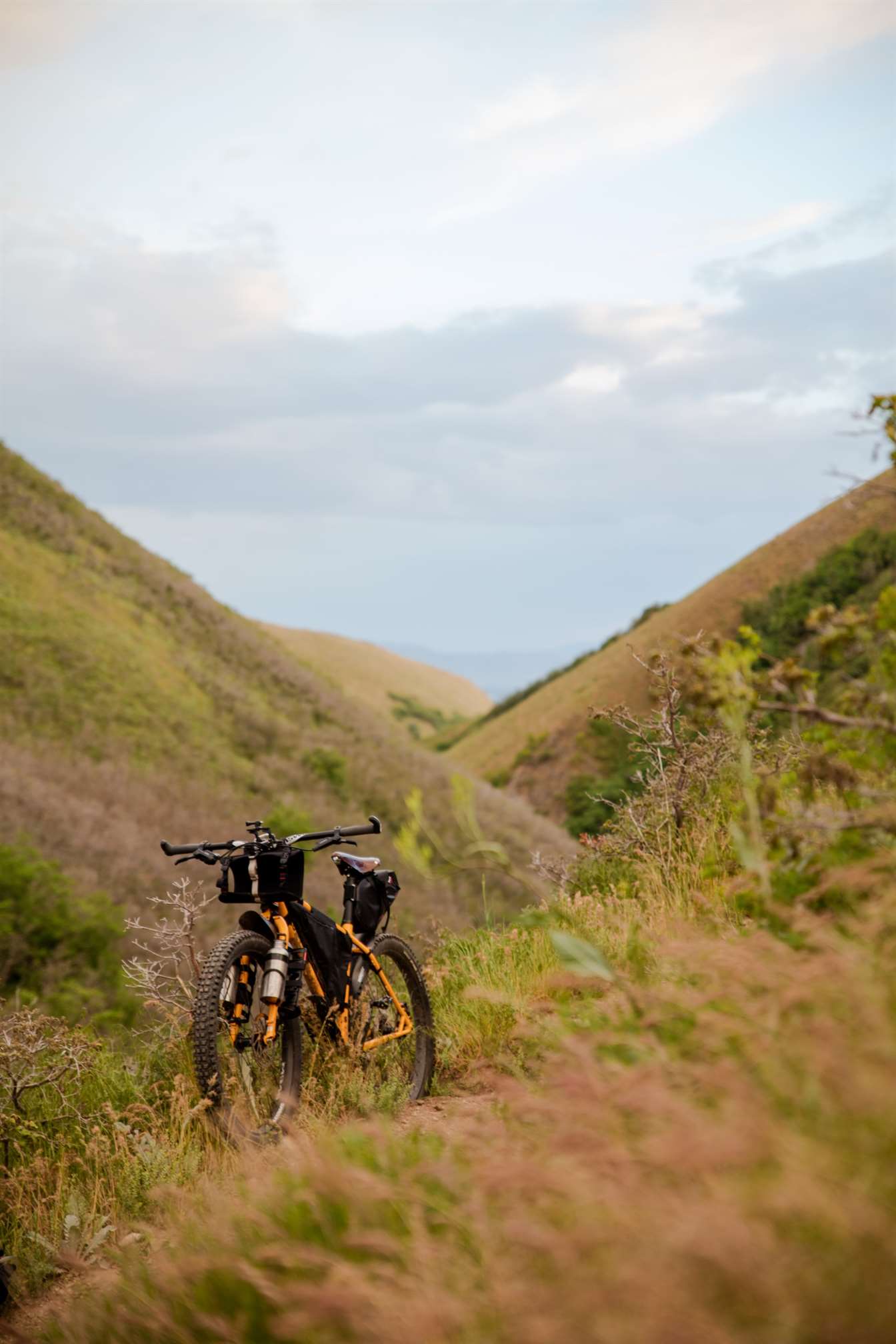 bike image