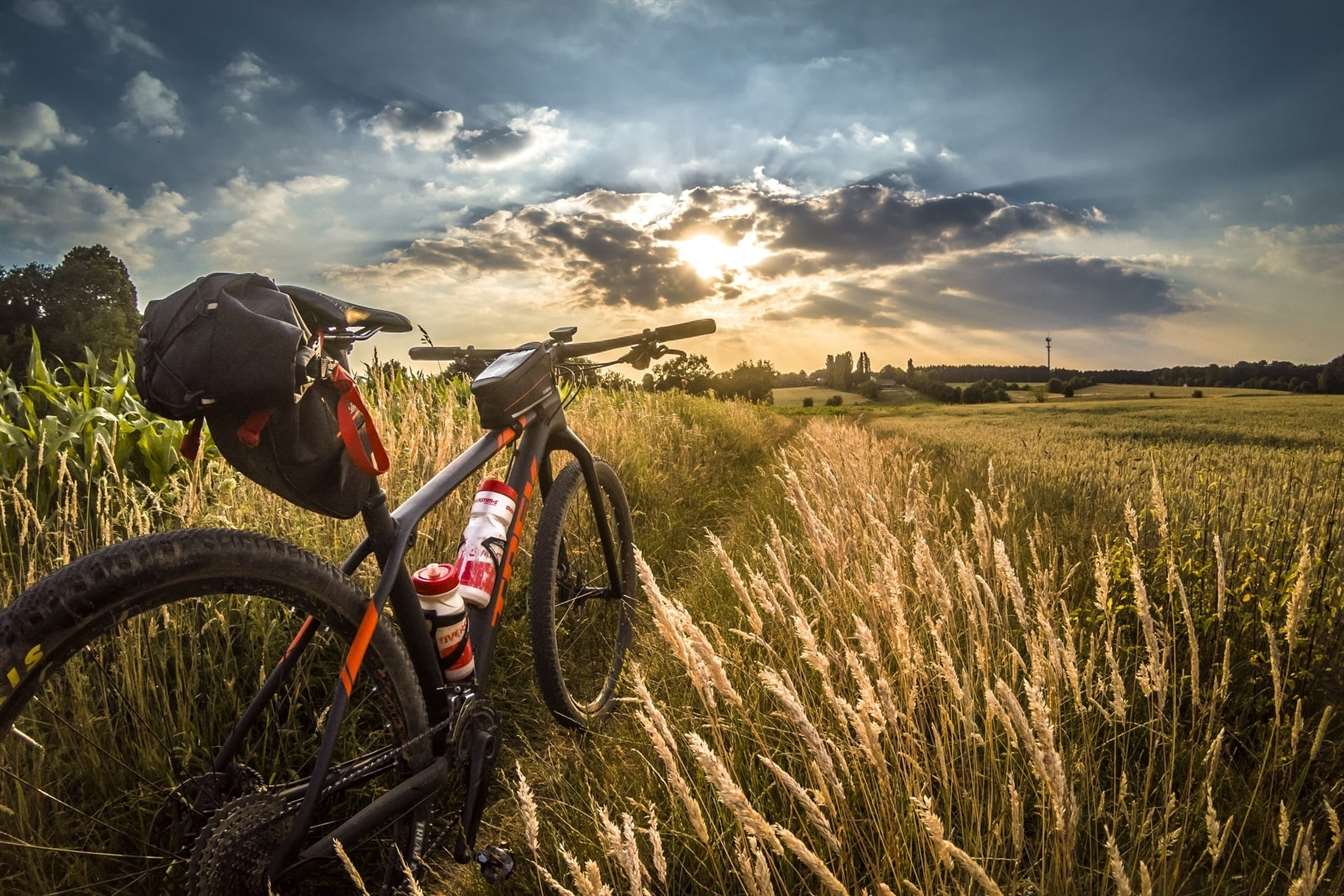 a bike in a field